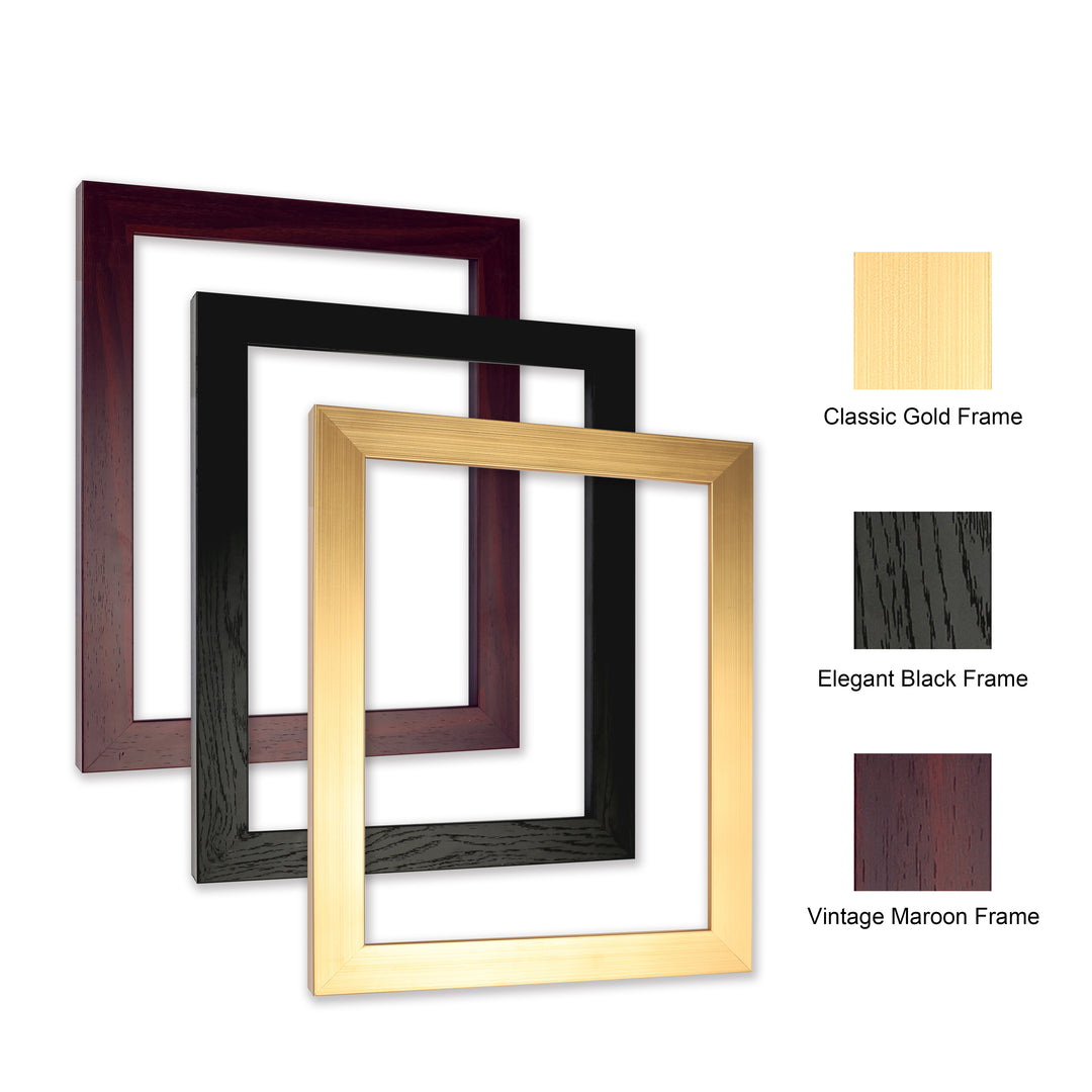 Classic Retro Picture Frame with MDF Wood Mat & Plexiglass Front 3 Colors Style 5