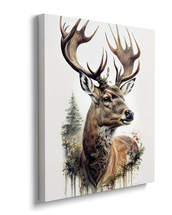 Deer