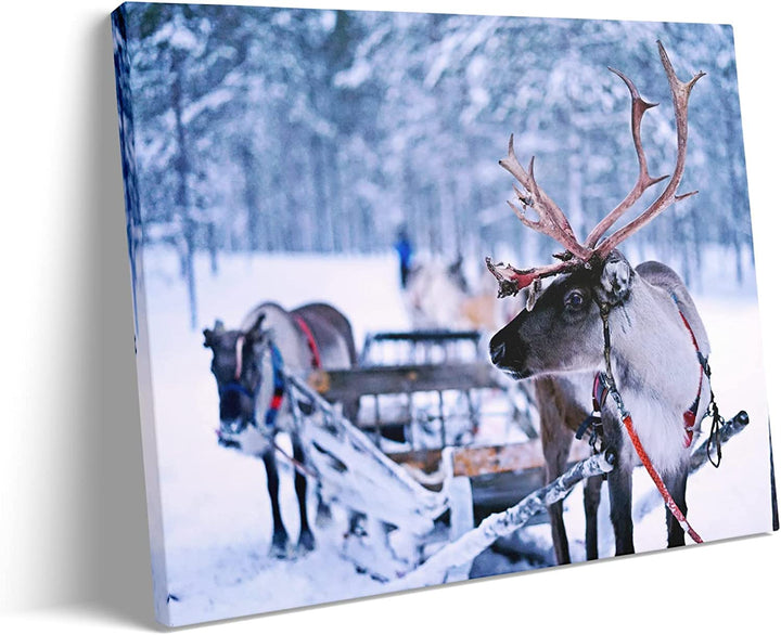 Deer snowmobile