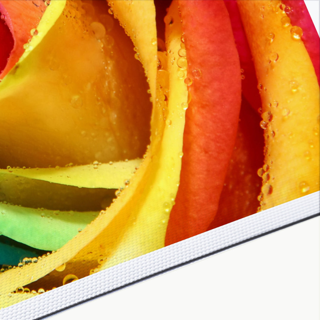 Polyester Canvas For Dye/Pigment/UV Ink 290 GSM