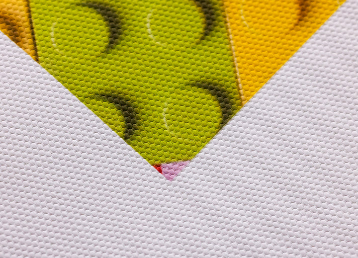 Polyester Canvas For Dye/Pigment/UV Ink 200 GSM