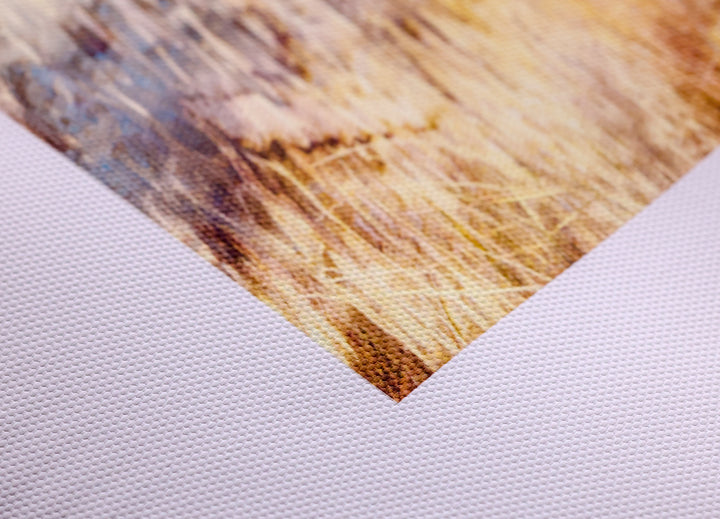Polyester Canvas For Dye/Pigment/UV Ink 290 GSM