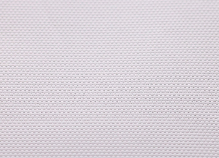 Polyester Canvas For Dye/Pigment/UV Ink 290 GSM