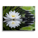 Mystical Lotus Water Wall Art