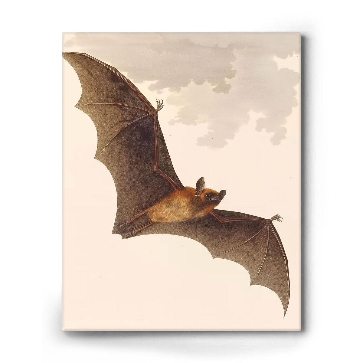 Vintage Antique Natural History Bat Illustration Halloween Wall Art