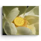 Lotus Flower Wall Art