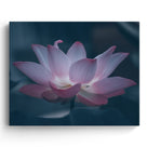 Lotus Flower Wall Art