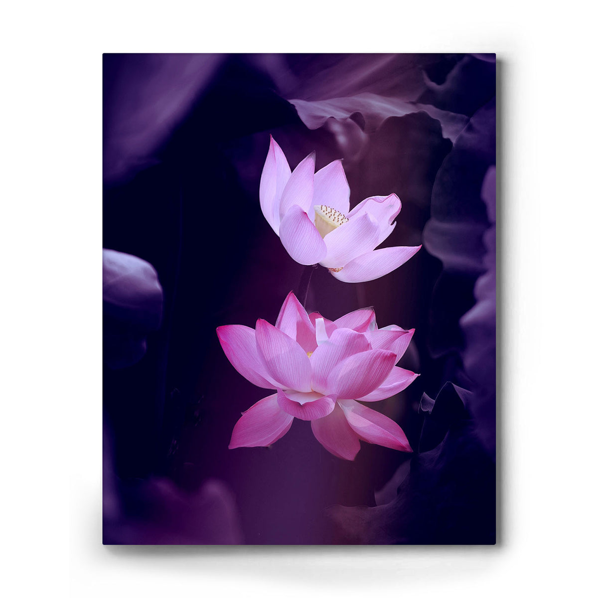 Lotus Flower Wall Art