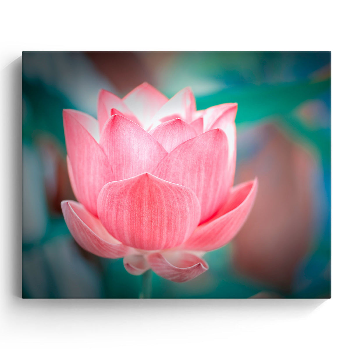 Lotus Flower Wall Art