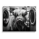 Funny Farm Highland Cow in the Laundry Room Photography Art Animal Wall Art