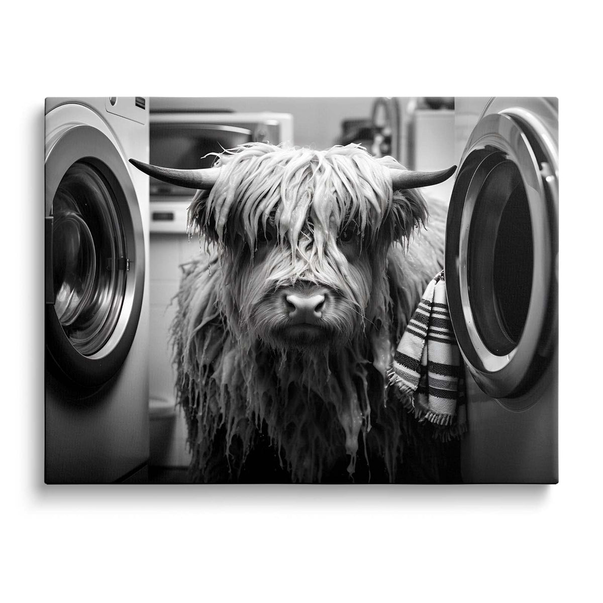 Funny Farm Highland Cow in the Laundry Room Photography Art Animal Wall Art