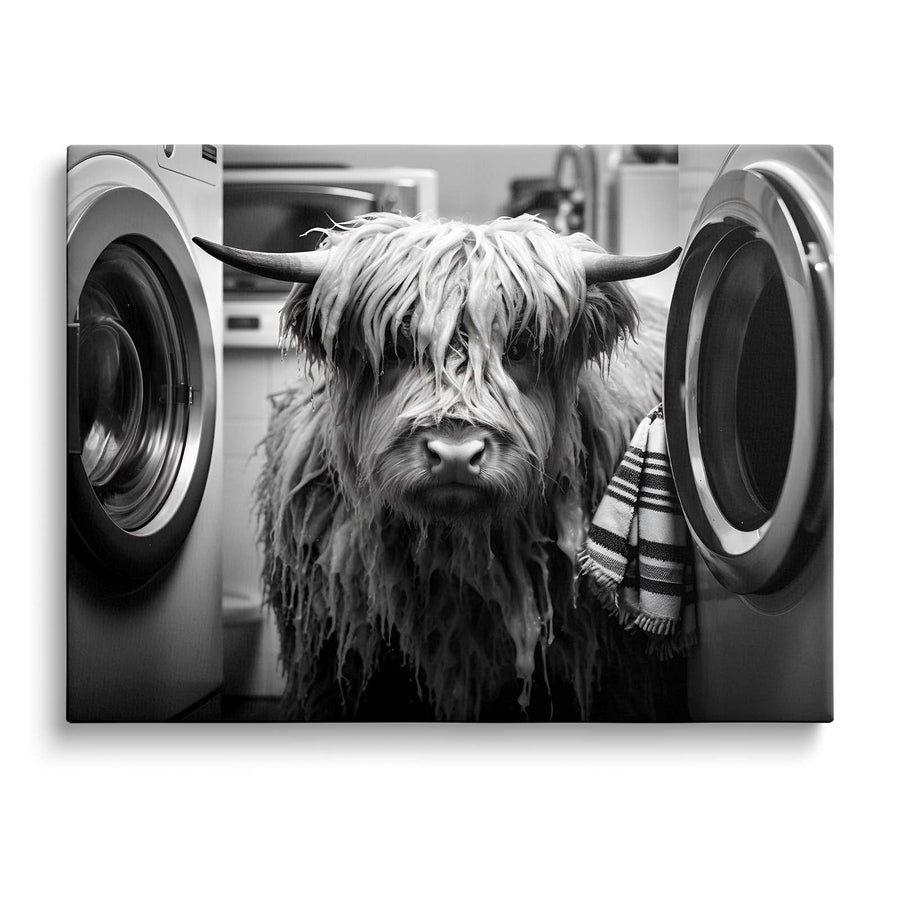 Funny Farm Highland Cow in the Laundry Room Photography Art Animal Wall Art