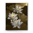 Lotus Flower Wall Art