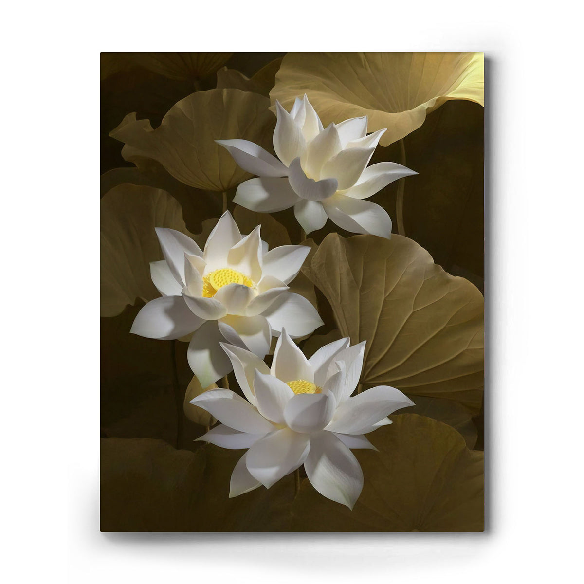 Lotus Flower Wall Art