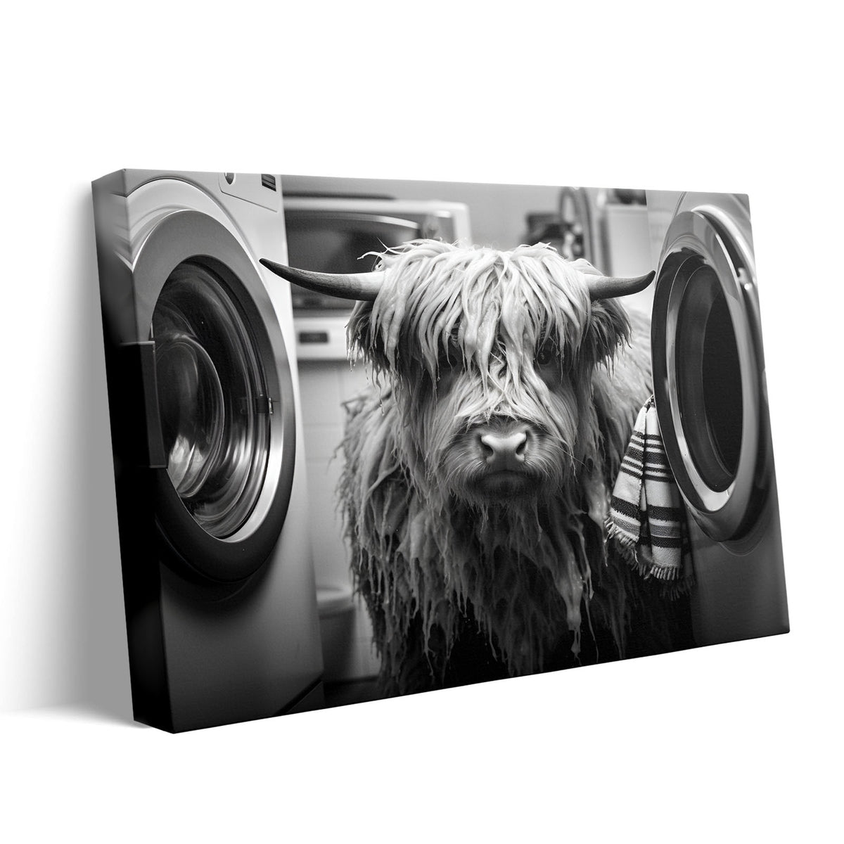 Funny Farm Highland Cow in the Laundry Room Photography Art Animal Wall Art