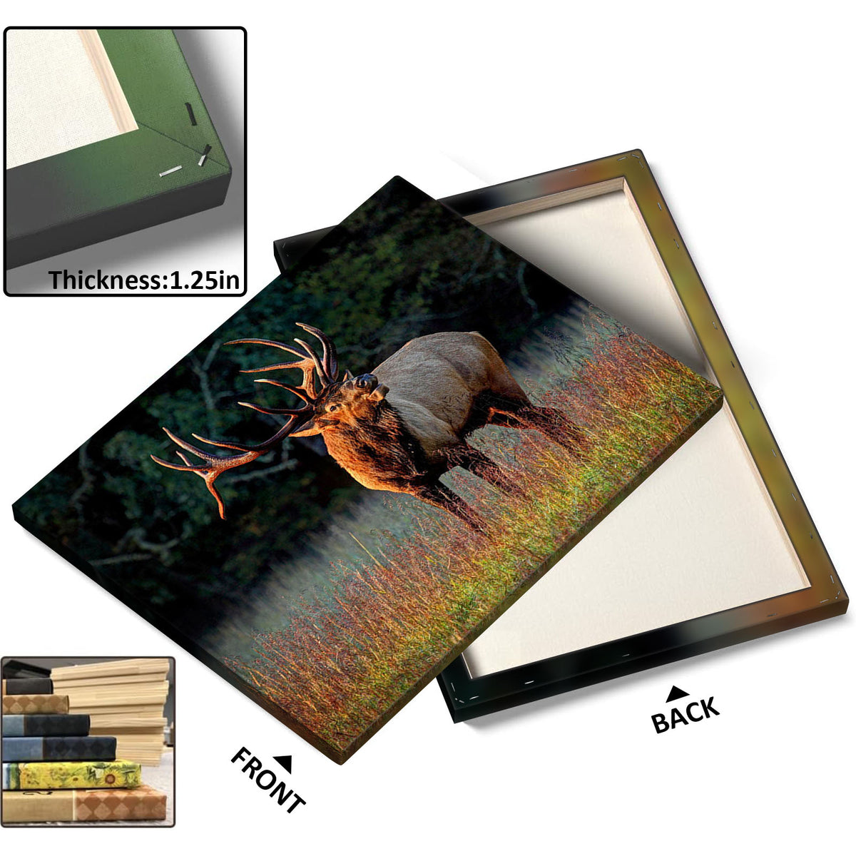 Majestic Elk in the Wild Woodland Canvas Wall Art