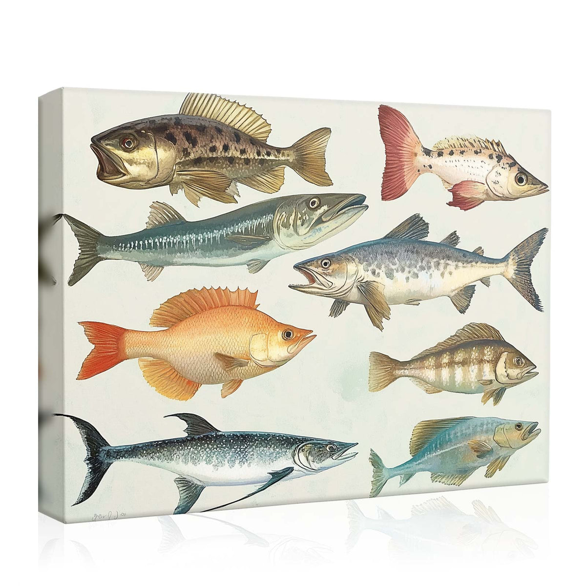 Illustrated Freshwater and Saltwater Fish Chart Species Wall Art