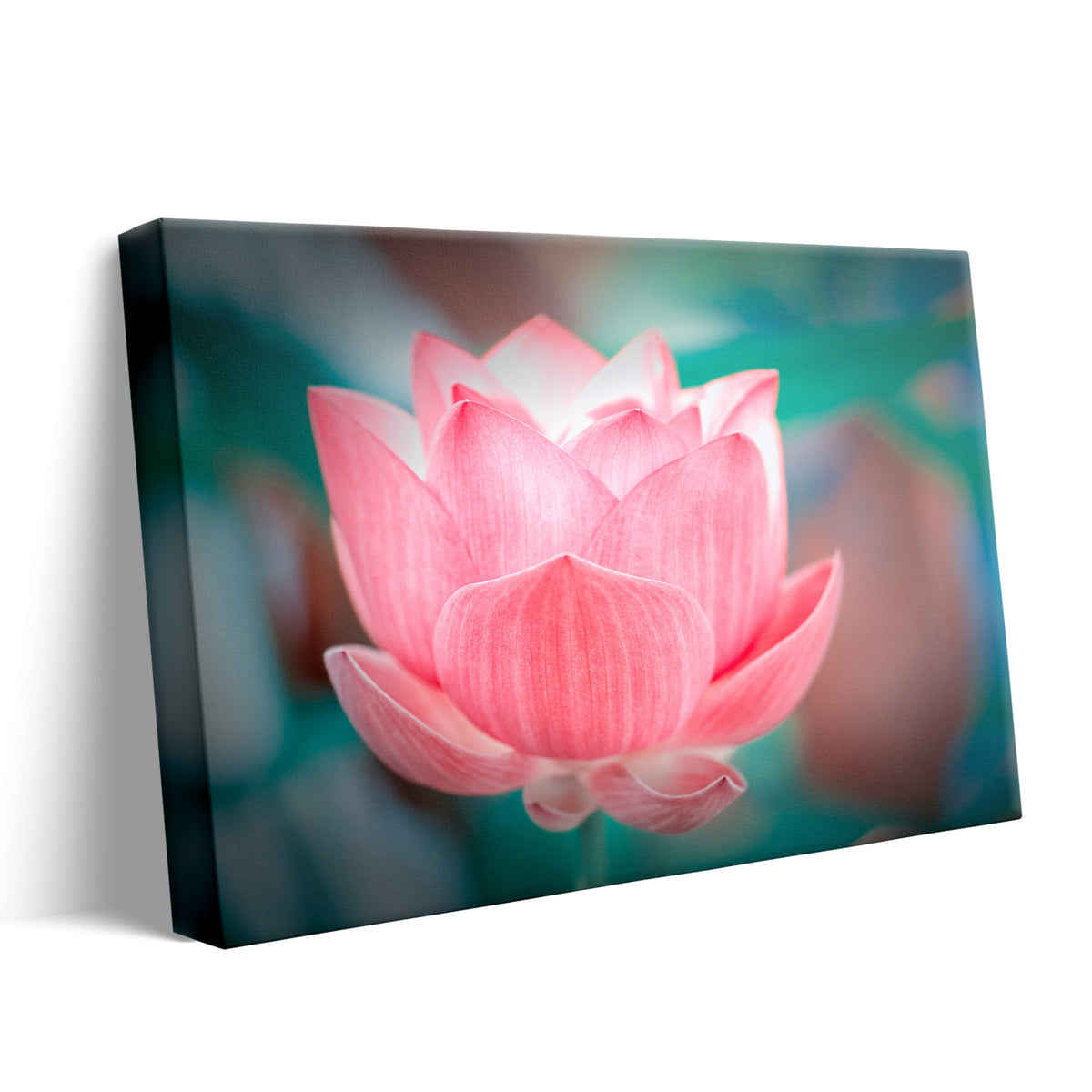 Lotus Flower Wall Art