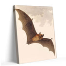 Vintage Antique Natural History Bat Illustration Halloween Wall Art