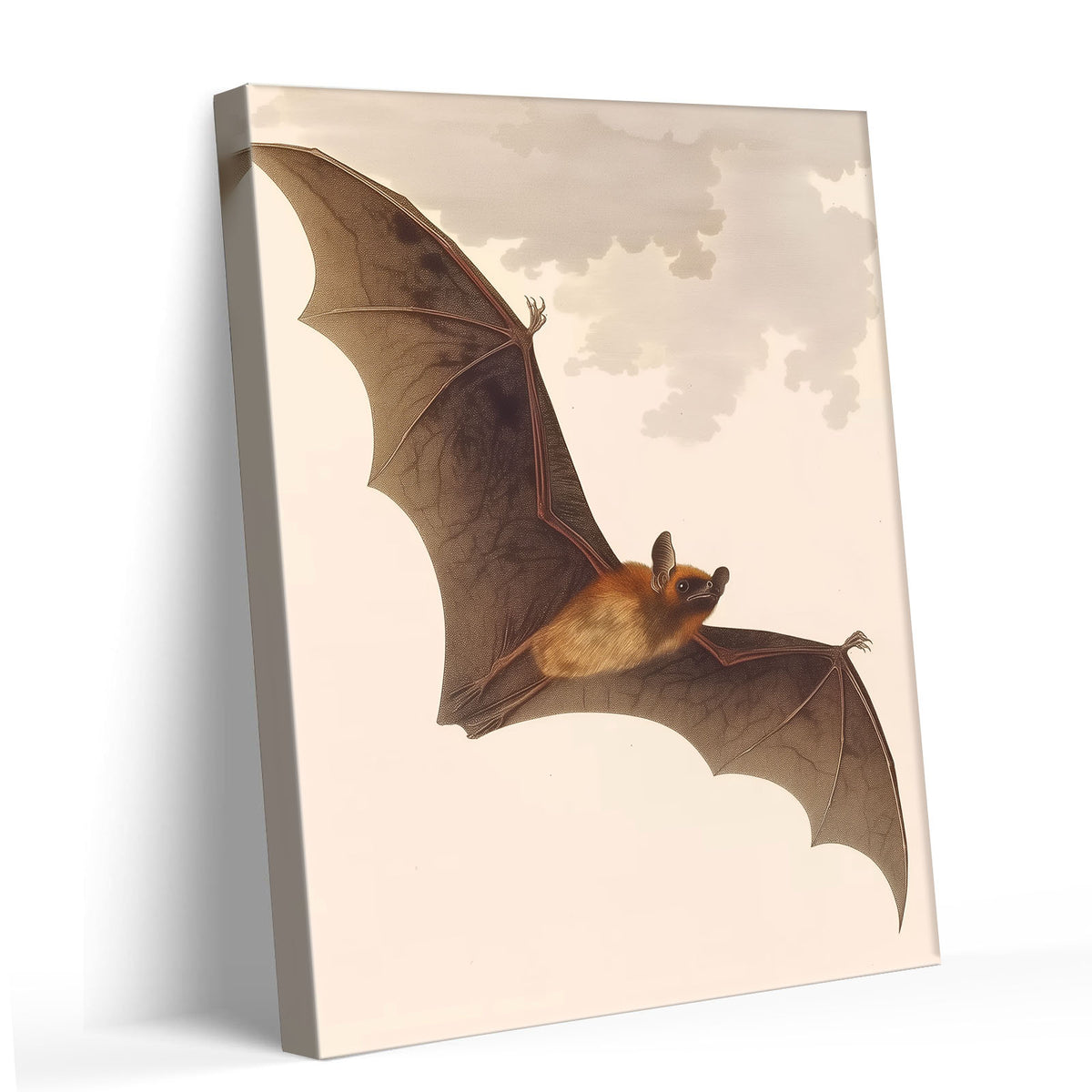 Vintage Antique Natural History Bat Illustration Halloween Wall Art