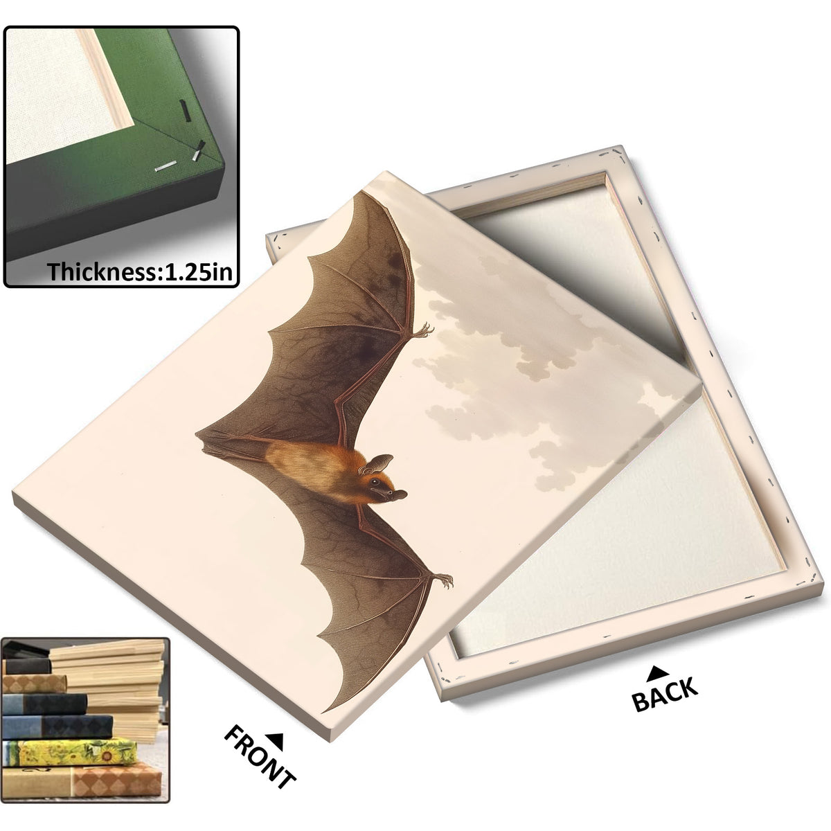 Vintage Antique Natural History Bat Illustration Halloween Wall Art