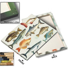 Illustrated Freshwater and Saltwater Fish Chart Species Wall Art