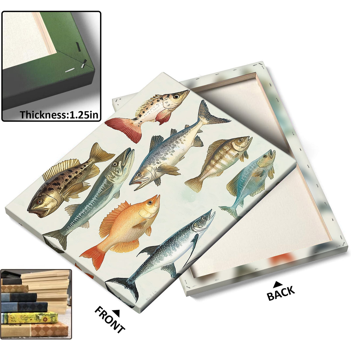 Illustrated Freshwater and Saltwater Fish Chart Species Wall Art
