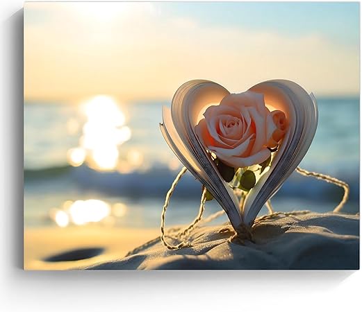 Rose on the beach