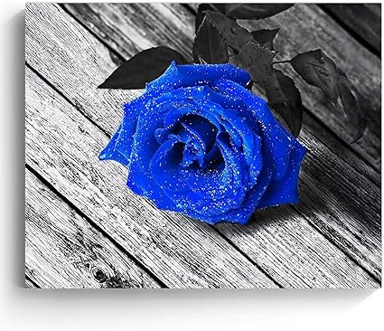 Blue Rose