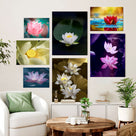 Lotus Flower Wall Art