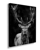 Black Deer
