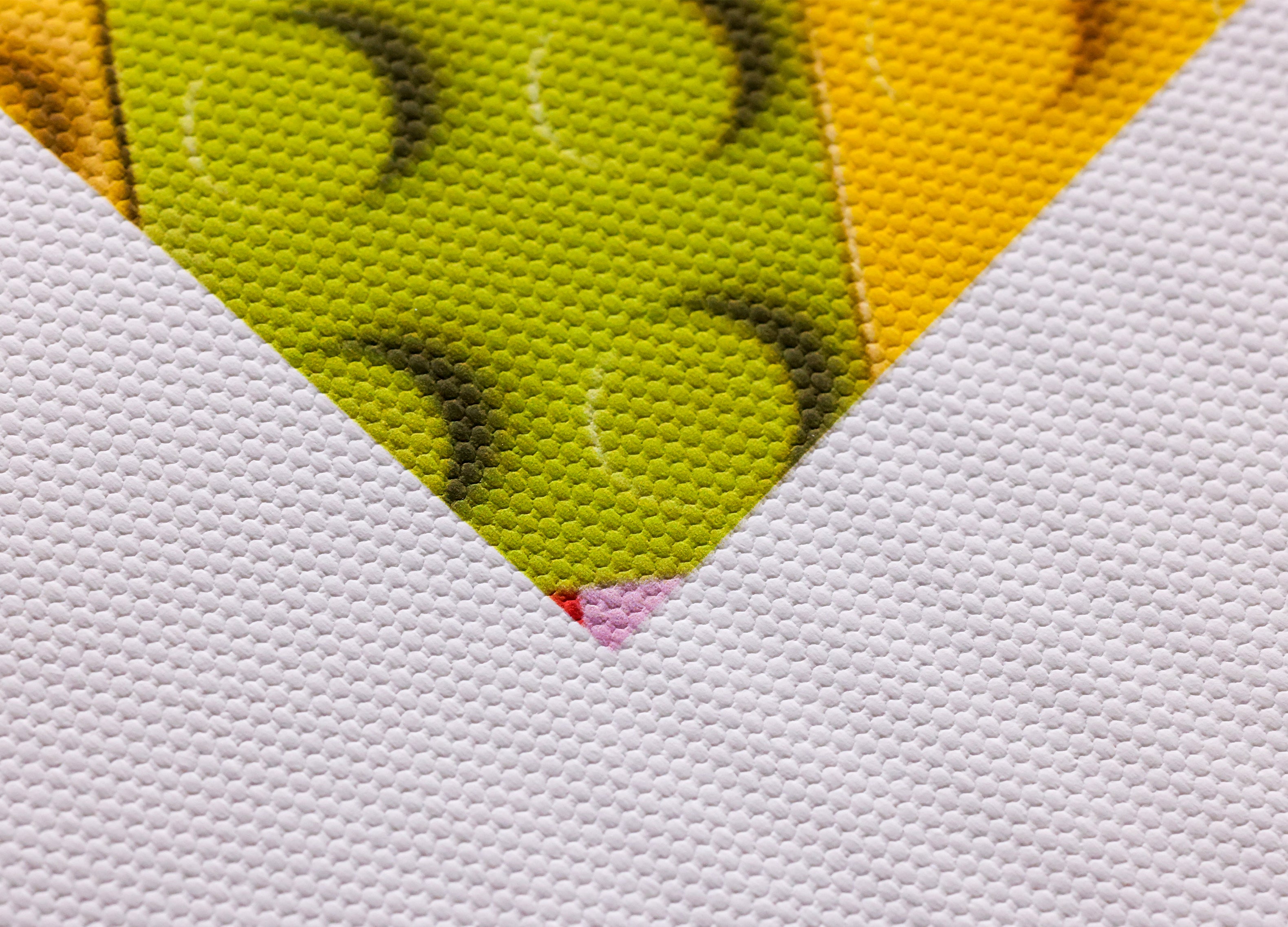 Polyester Canvas For Dye/Pigment/UV Ink 200 GSM – P&L Art
